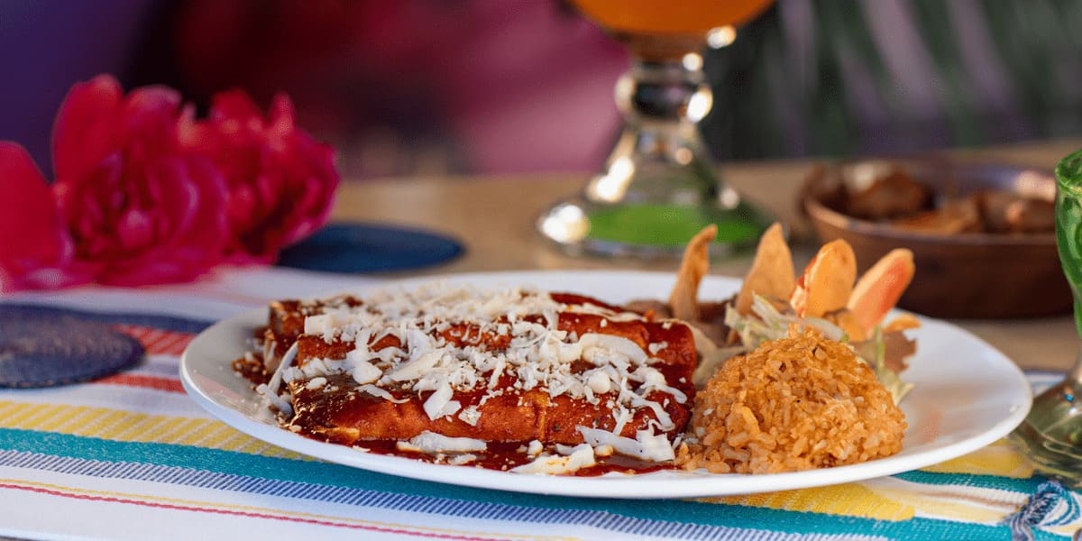 Green Enchiladas vs. Red Enchiladas Barrigas